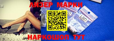 бошки Гатчина