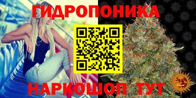 MDMA Гай