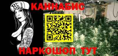 бошки Гатчина