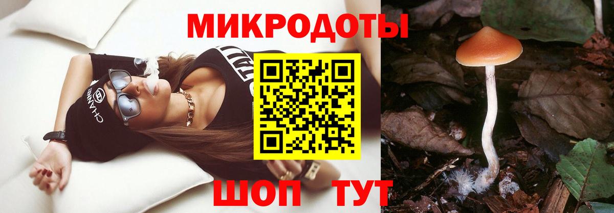 Галлюциногенные грибы GOLDEN TEACHER  Вход с VPN  Малгобек  Галлюциногенные грибы Magic Shrooms 